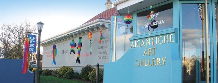 Aigantighe Art Gallery is one of You Rule Timaru.