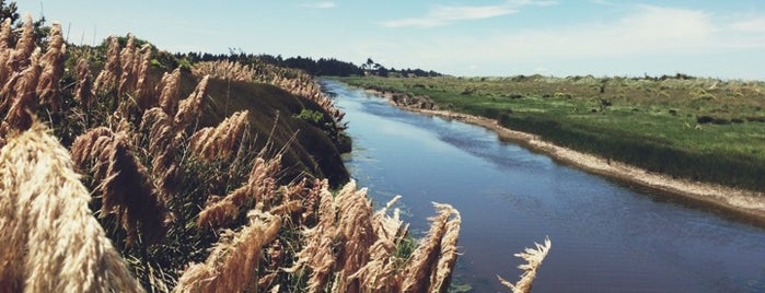 Otipua Wetlands is one of New Zealand.