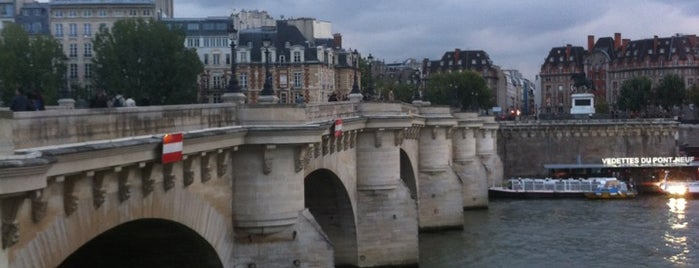 Pont Neuf is one of Paris!.
