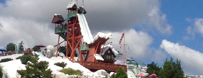 Disney's Blizzard Beach Water Park is one of Places I Have Been To (Orlando, FL).