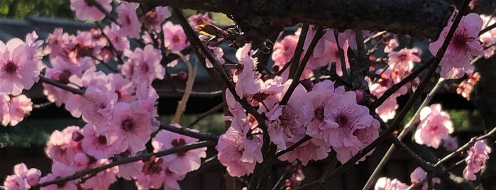 Japanese Gardens is one of Posti che sono piaciuti a Kieran.