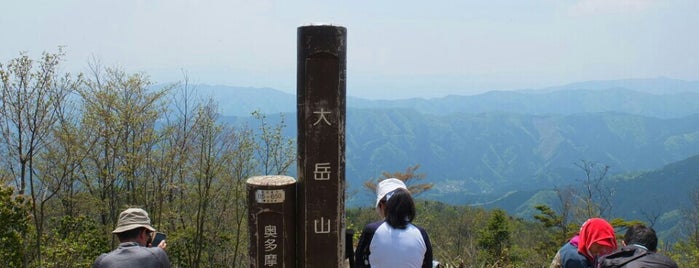 Mt. Otake is one of mountains climbed.