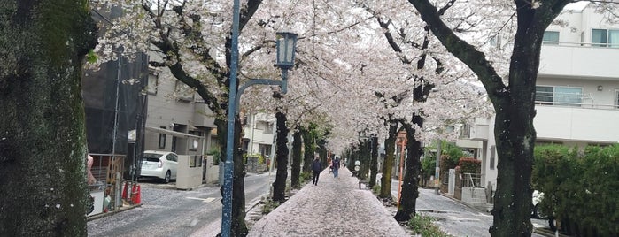 花と緑の散歩道 is one of 神輿で訪れた場所-1.