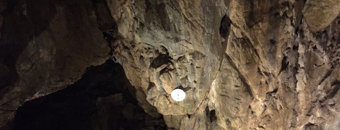 Nippara Shonyudo Cave is one of Tempat yang Disukai 高井.