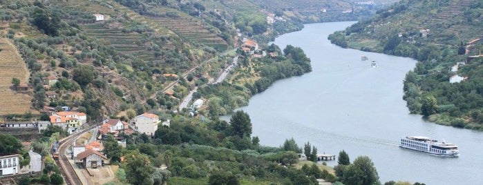 Vale do Douro is one of Lugares favoritos de 高井.