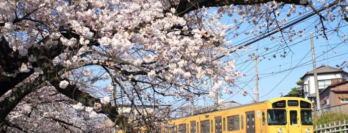 Musashi-Seki Station (SS14) is one of 高井’s Liked Places.
