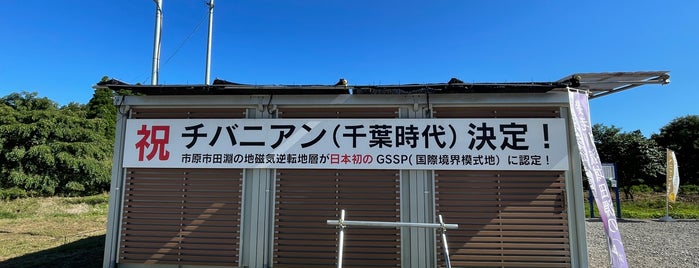 チバニアン ビジターセンター is one of 高井さんのお気に入りスポット.