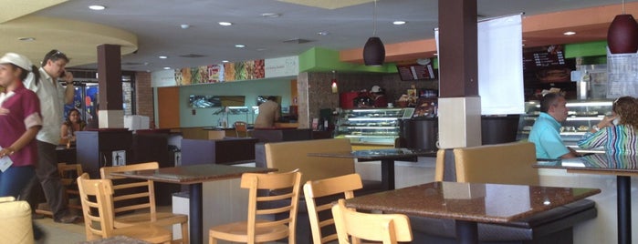 Panera Bakery Cafe is one of Puerto La Cruz City.