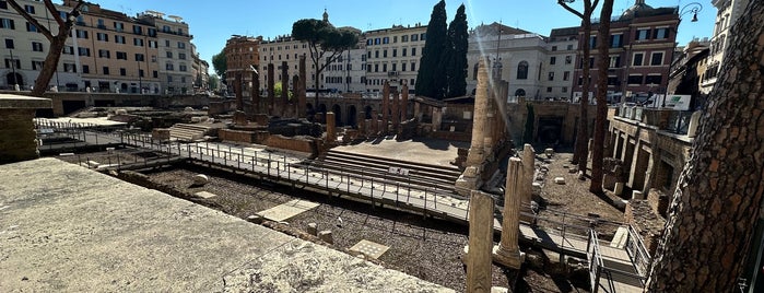 Largo di Torre Argentina is one of Int'l Random Places.