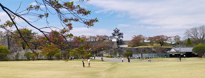小峰城 (城山公園) is one of まだ行っていない日本の城.