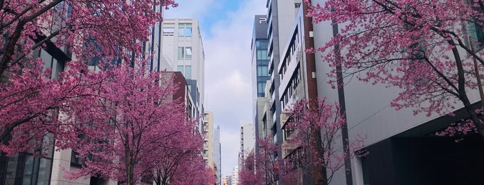 今川橋跡 is one of 史跡・名勝・天然記念物.