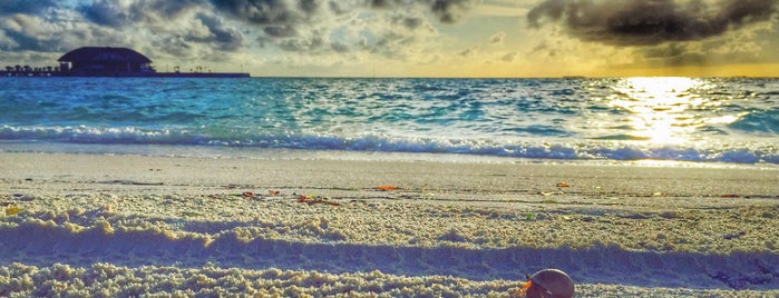 Olhuveli Beach & Spa Resort is one of Maldives.
