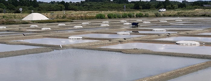 Terre de sel is one of eric'in Beğendiği Mekanlar.