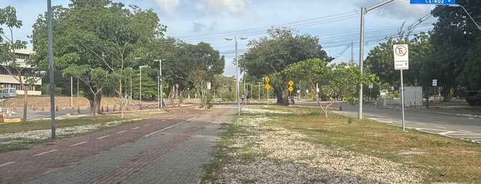 Centro Administrativo do Governo do Estado do Ceará is one of Todos os dias.
