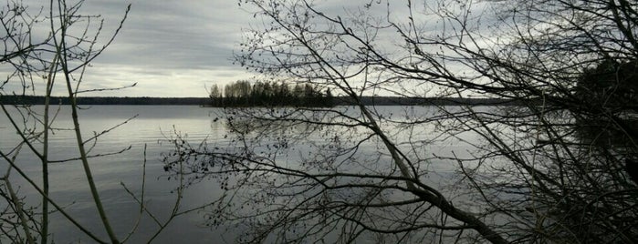 Перетно is one of สถานที่ที่ Hellen ถูกใจ.