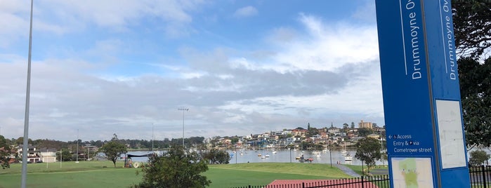Drummoyne Oval is one of The 11 Best Places for Cricket in Sydney.