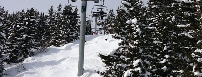 Coqs Lift is one of Skigebiete.