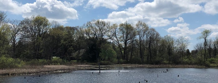 Pickerel Lake Park - Fred Meijer Nature Preserve is one of Parks/Outdoor Spaces in GR.