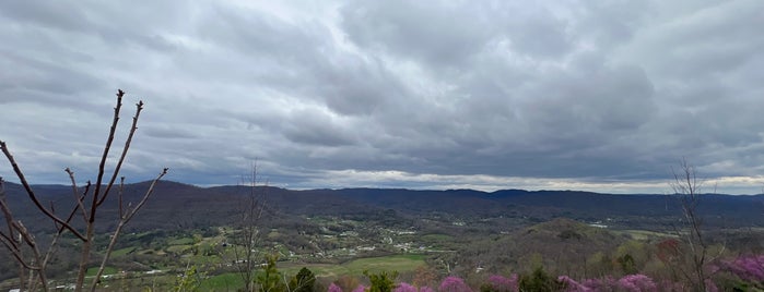 Rarity Mountain is one of nature.