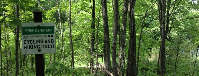WCC Trails (Hydrocut) is one of Kitchener.