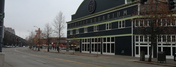 Seattle Aquarium is one of สถานที่ที่ Tim ถูกใจ.