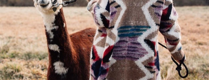 Grist Mill Farm Alpacas is one of BEST OF: Day Trips.
