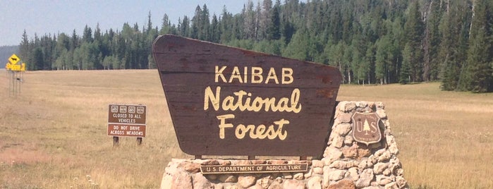 Kaibab National Forest is one of The Grand Canyon & Las Vegas.