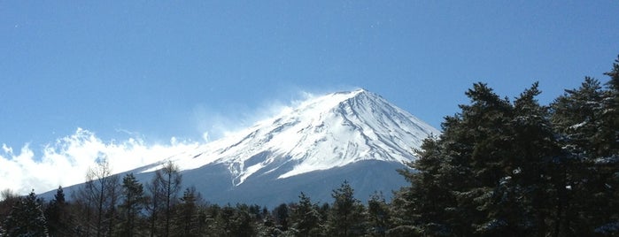 フィットリゾートクラブ Fit Resort Club is one of Tempat yang Disukai Pupae.