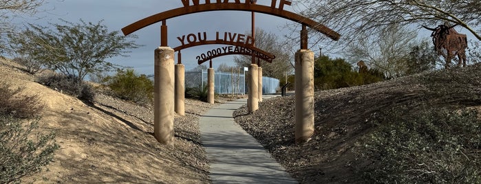 Centennial Hills Park is one of The 11 Best Dog Parks in Las Vegas.