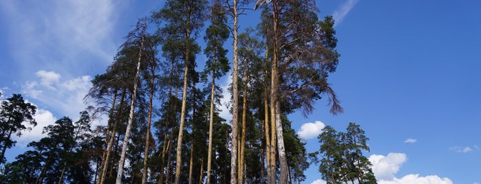 Озеро Нерское is one of Tempat yang Disukai Lena.