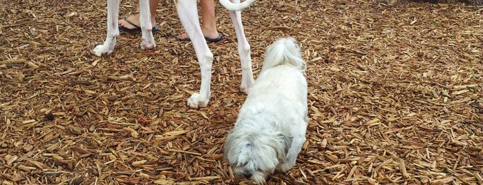 Cleveland Dog Park is one of สถานที่ที่ Christen ถูกใจ.