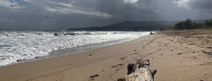 Zaga Beach is one of Spiridoula'nın Kaydettiği Mekanlar.