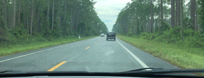 Goethe Forest is one of Nord-Florida Panhandle / USA.