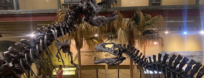 Glendive Dinosaur and Fossil Museum is one of South and North Dakota.