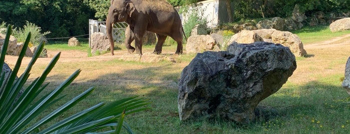 Zoo de Pont Scorff is one of Bretagne.