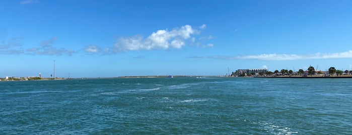 Michael W. Behrens ferry is one of Gulf Coast ⛱.