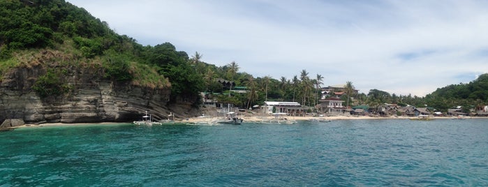 Apo Island: Liberty's Lodge and Dive is one of #365Daysaroundthehalfworld.