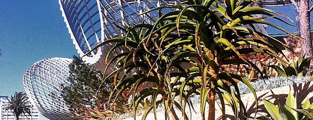 Tongva Park is one of Cruising in LA.