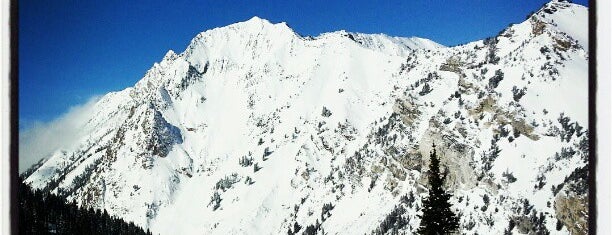 Alta Ski Area is one of Utah's must visit venues.