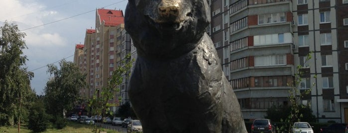 Памятник преданности is one of Гав.