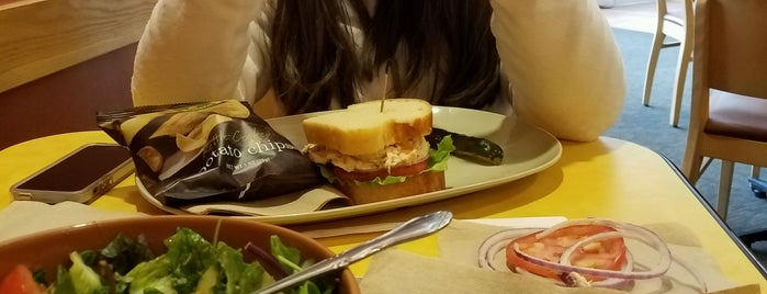 Panera Bread is one of Places I go regularly.