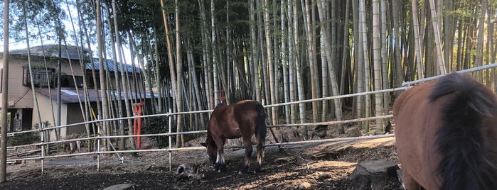 伏見稲荷神社 is one of 東京23区以外(除町田八王子).