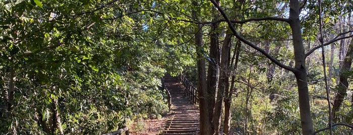 戸隠不動跡 is one of 川崎の行ってみたい神社.