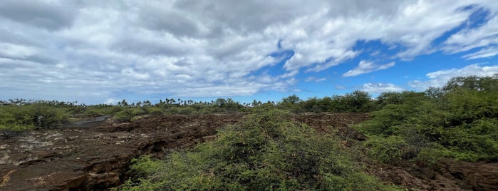 Mauna Lani Shoreline Access Path is one of Places.