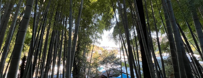 九郎明神社 is one of 川崎の行ってみたい神社.