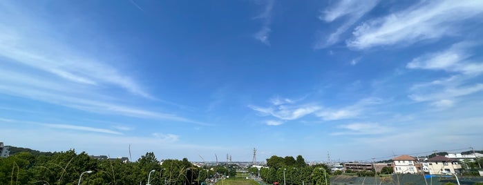 稲城中央公園 総合グラウンド is one of Byc.