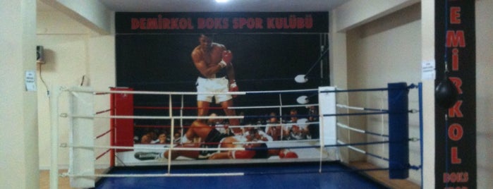 Demirkol Boks Kulübü is one of สถานที่ที่ Tahir ถูกใจ.