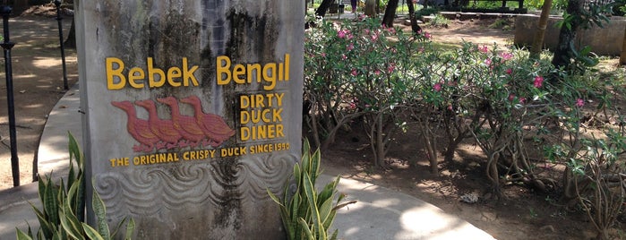 Bebek Bengil (Dirty Duck Diner) is one of Bali.