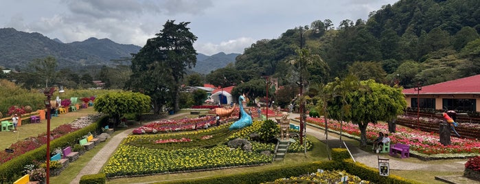 Feria de las Flores y del Café is one of Chiriqui.