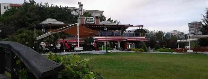 Amisos Cafe & Restaurant is one of Samsun.
